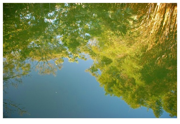 Lake in Bosque dos Buritis gardens of Gioania