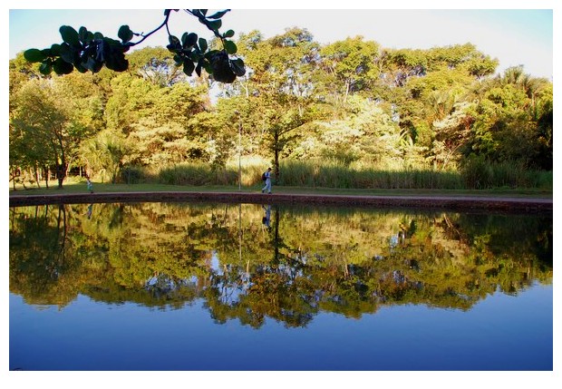 Lake in Bosque dos Buritis gardens of Gioania