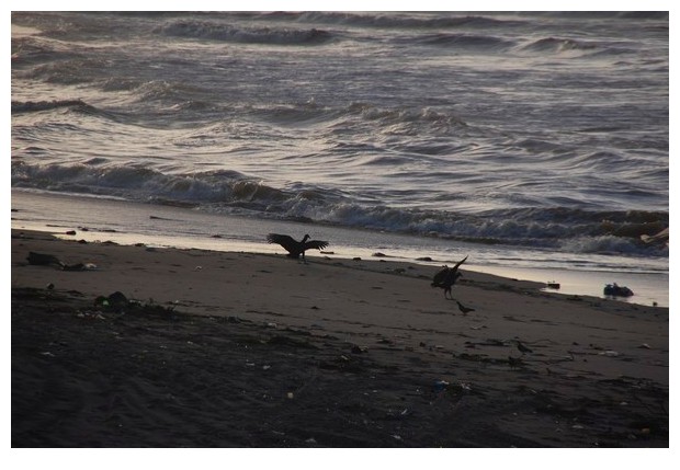 Morning sea in Salvador de Bahia, Brazil