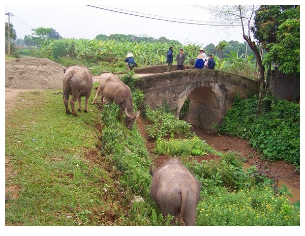 Labourers, Phu Tho Province, Vietnam