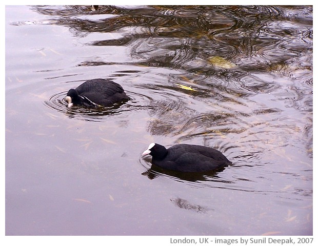 Central London, UK - images by Sunil Deepak