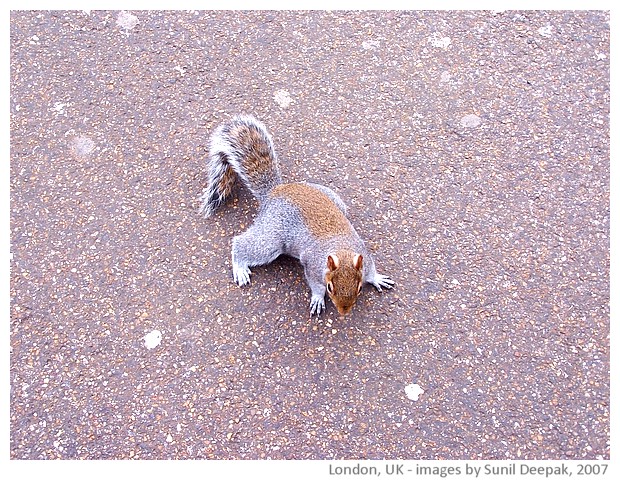 Central London, UK - images by Sunil Deepak