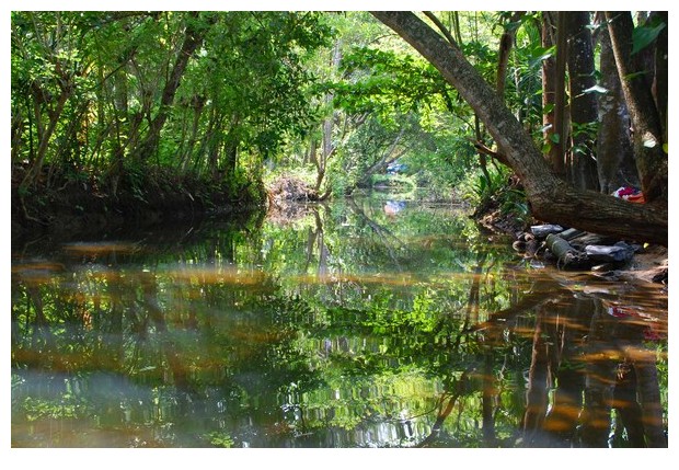 Backwaters near Poikkam, Kerala