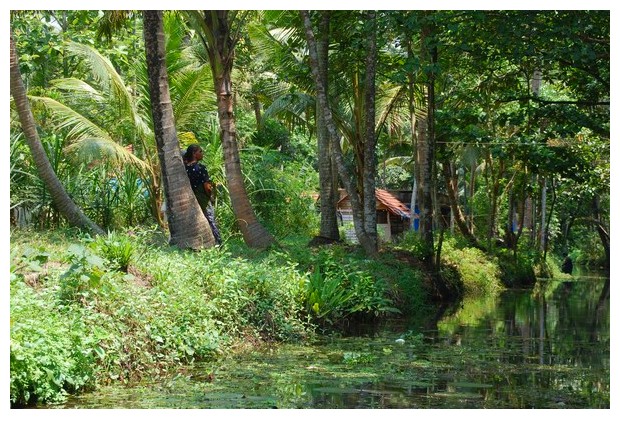 Backwaters near Poikkam, Kerala