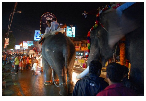 A temple procession, Kochi, Kerala