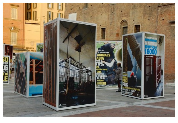 Exhibition on stopping bile extraction from moon bears