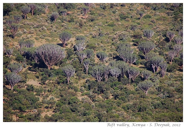 Kenya, Rift valley - S. Deepak, 2012