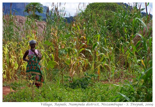 People with corn in Nampula, Mozambique - S. Deepak, 2009