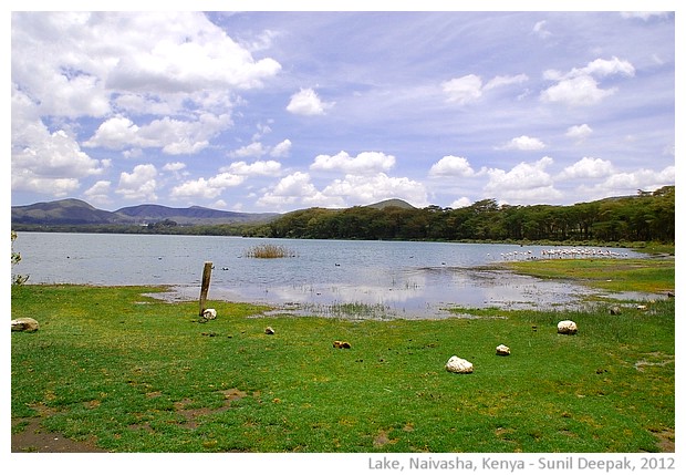 Oloiden lake, Naivasha, Kenya - images by Sunil Deepak, 2012