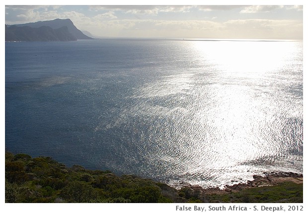 False bay, South Africa - S. Deepak, 2012