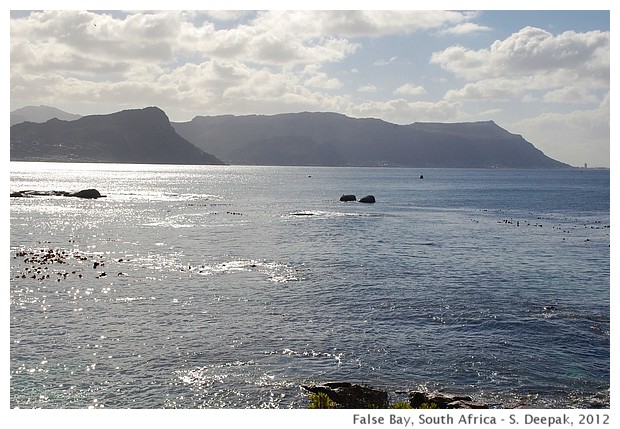 False bay, South Africa - S. Deepak, 2012