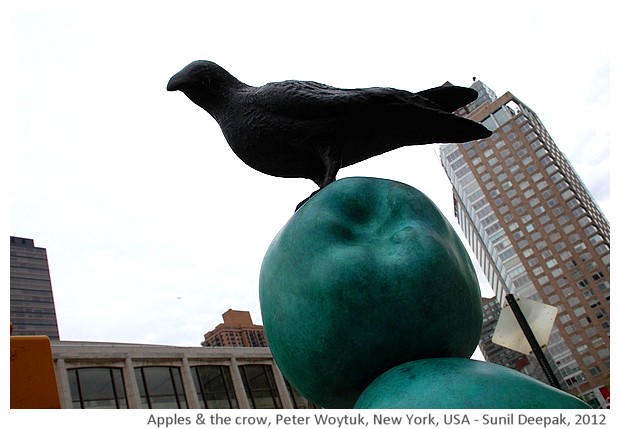 Apples and the crow by Peter Woytuk, New York, USA - images by Sunil Deepak, 2012