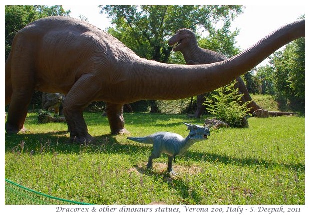 Dracorex, Dinosaur park, Verona zoo, Italy - images by S. Deepak