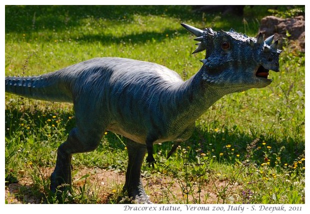 Dracorex, Dinosaur park, Verona zoo, Italy - images by S. Deepak