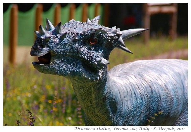 Dracorex, Dinosaur park, Verona zoo, Italy - images by S. Deepak