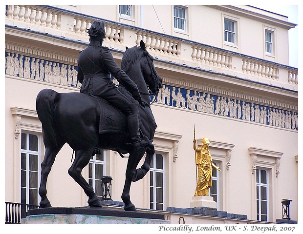 Best images of horses from different countries