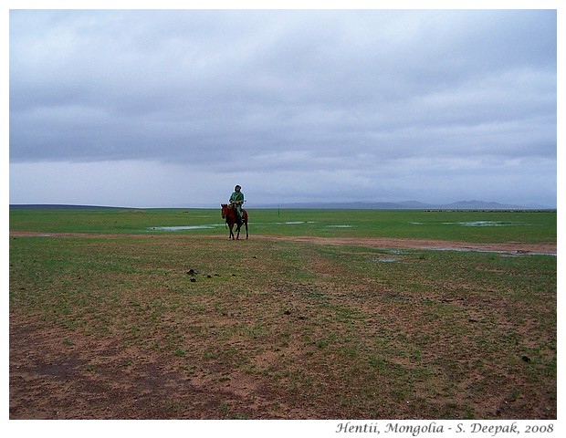 Best images of horses from different countries