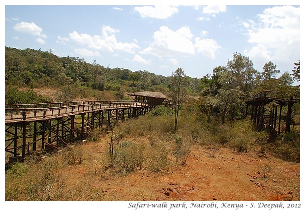 Safariwalk zoo, Nairobi Kenya - S. Deepak, 2012