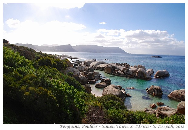 Penguins, Boulder, South Africa - S. Deepak, 2012