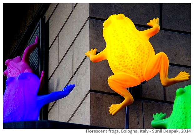 Florescent frogs Bologna, Italy - Sunil Deepak, 2014