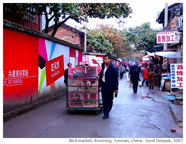 Bird market, Kunming, China - images by Sunil Deepak, 2007