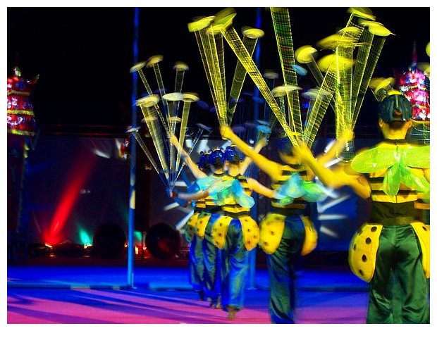 Honey bees acrobatic show in a chinese circus