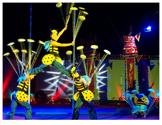 Honey bees acrobatic show in a chinese circus