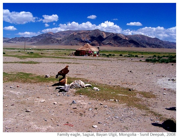 Pet eagle, Sagsai, Bayan Ulgii, Mongolia - images by Sunil Deepak, 2008