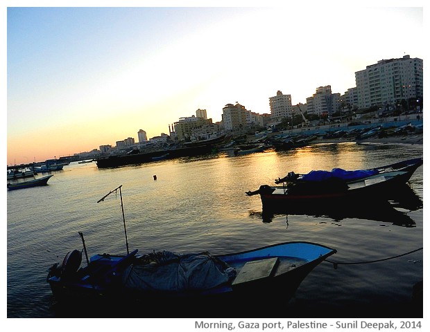 Morning, Gaza port, Palestine - images Sunil Deepak, 2014