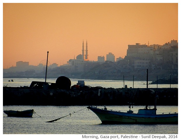 Morning, Gaza port, Palestine - images Sunil Deepak, 2014