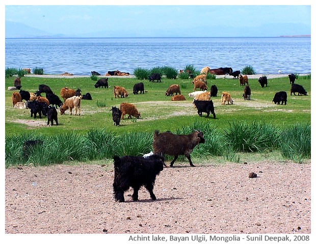 Achint lake, Mongolia - images by Sunil Deepak, 2008