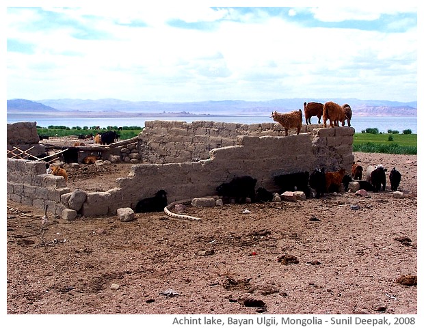 Achint lake, Mongolia - images by Sunil Deepak, 2008