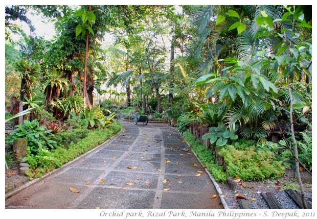 Orchid garden, Rizal Park, Manila - S. Deepak, 2011
