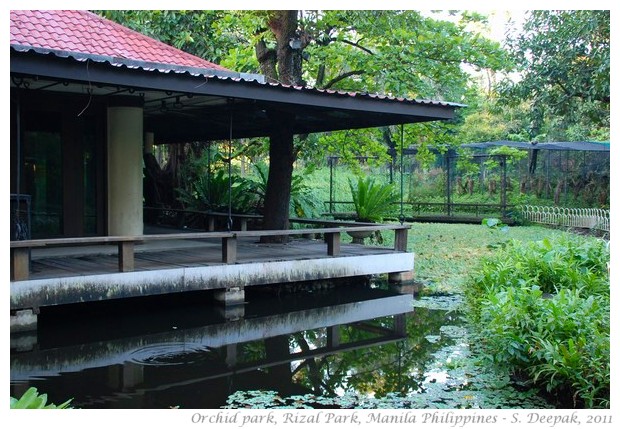 Orchid garden, Rizal Park, Manila - S. Deepak, 2011