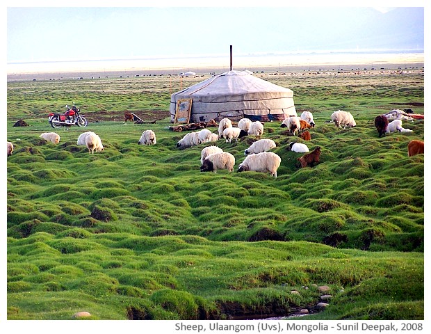 Sheep pastures, Ulaangom, Uvs, Mongolia - images by Sunil Deepak, 2008