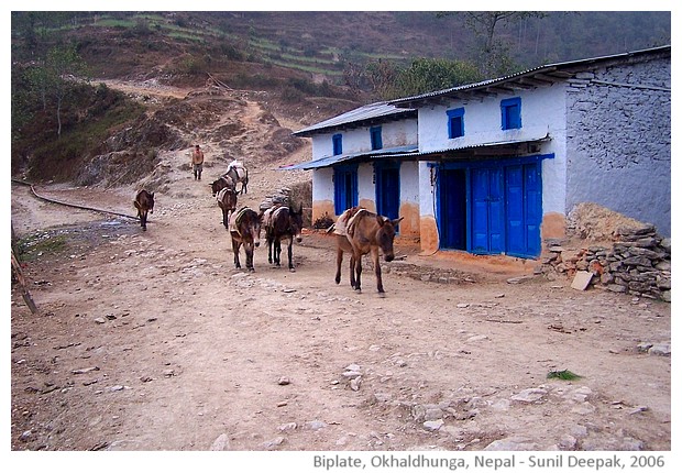 Nepal Okhaldhunga & Chaimalle - images by Sunil Deepak, 2006