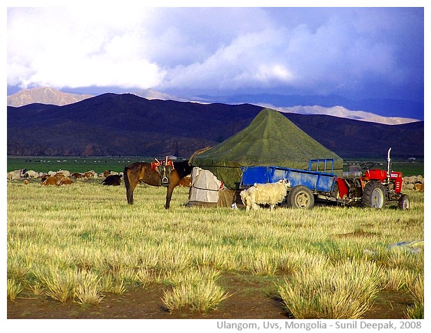 Mongolian tent and animals, Ulangom, Uvs, Mongolia - images by Sunil Deepak, 2008