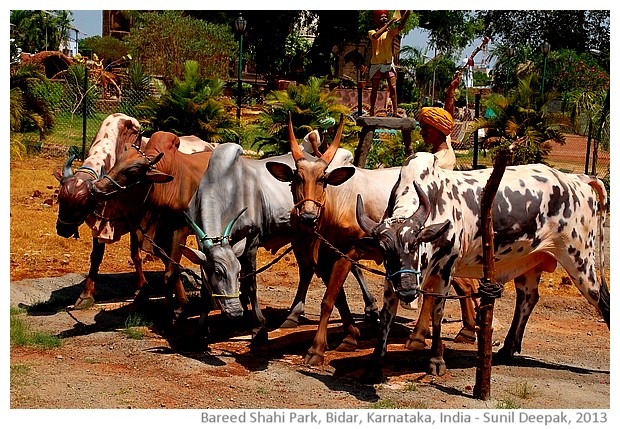 Barid Shahi park and tombs, Bidar, Karnataka, India - images by Sunil Deepak