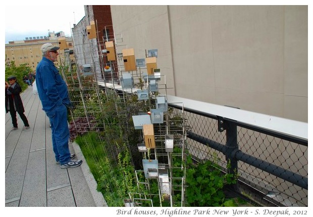 Highline park New York - S. Deepak, 2012