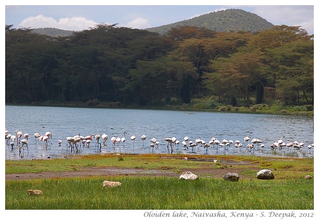 Images from Kenya travel, Sept 2012 - S. Deepak, 2012