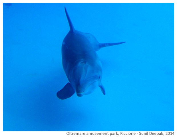 Oltremare theme park, Riccione, Italy - images by Sunil Deepak, 2014