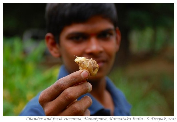 best of nature and wildlife pictures - S. Deepak, 2011