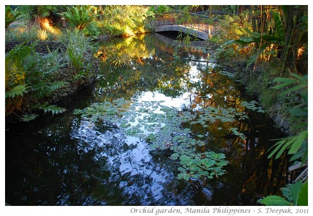 best of nature and wildlife pictures - S. Deepak, 2011