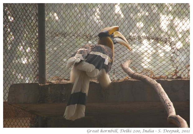 best of nature and wildlife pictures - S. Deepak, 2011