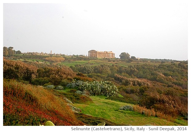 Selinunte, Castelvetrano, Sicily, Italy - images by Sunil Deepak, 2014