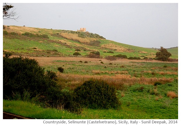 Countryside of Selinunte, Castelvetrano, Sicily, Italy - images by Sunil Deepak, 2014