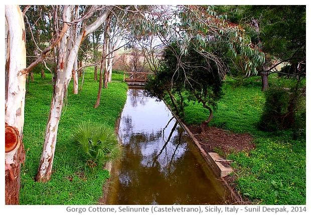 Cottone river, Selinunte, Castelvetrano, Sicily, Italy - images by Sunil Deepak, 2014