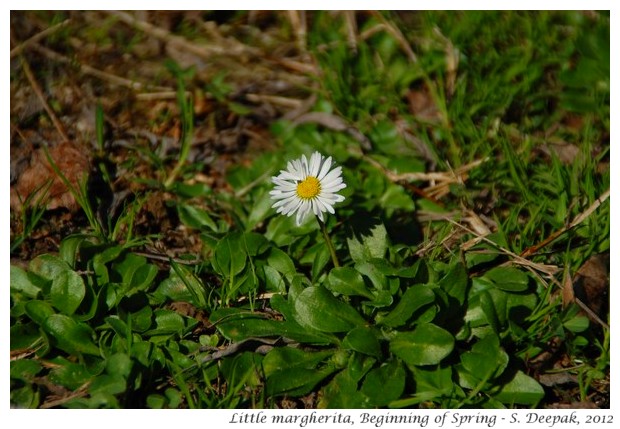 Beginning of spring, Bologna, Italy - S. Deepak, 2012