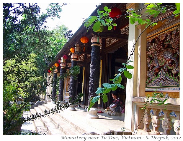 Buddhism in Vietnam - S. Deepak, 2010