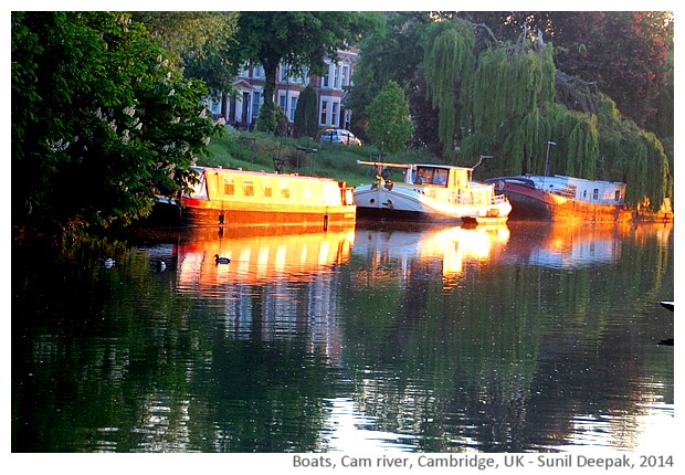 Boats, Cam river, Cambridge, UK - images by Sunil Deepak, 2014